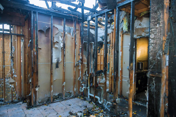 Professional Odor Removal technician working in Albertville, MN