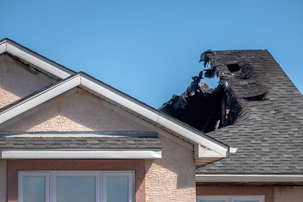 Top rated local Odor Removal specialists in Albertville, MN